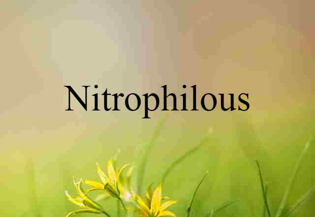 Nitrophilous (noun) Definition, Meaning & Examples