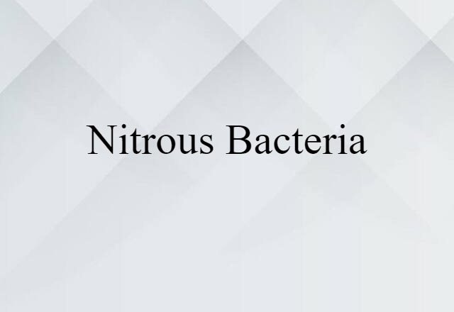 nitrous bacteria