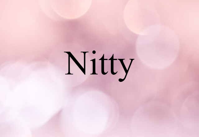 Nitty (noun) Definition, Meaning & Examples