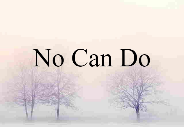 No Can Do (noun) Definition, Meaning & Examples