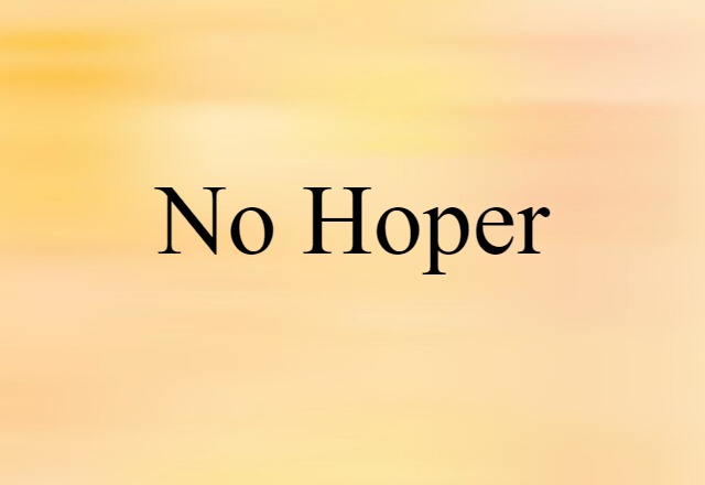 No-hoper (noun) Definition, Meaning & Examples