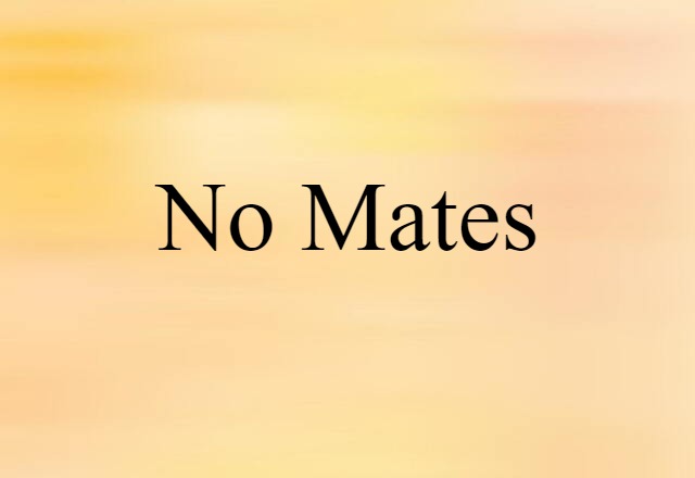 No Mates (noun) Definition, Meaning & Examples