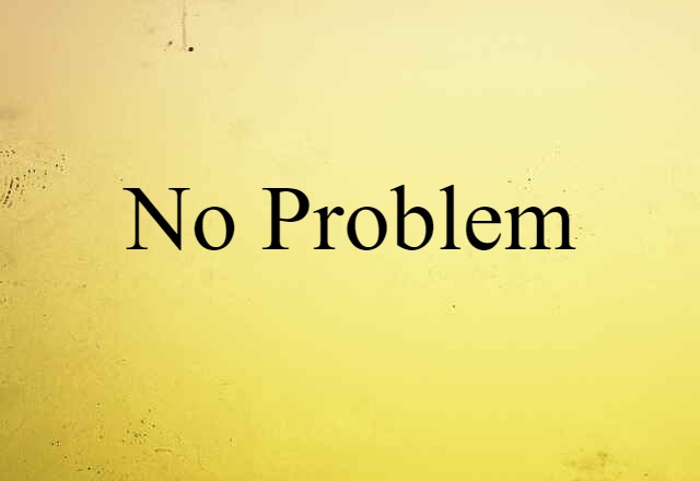 No Problem (noun) Definition, Meaning & Examples