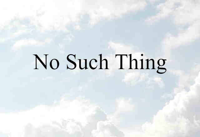 No Such Thing (noun) Definition, Meaning & Examples