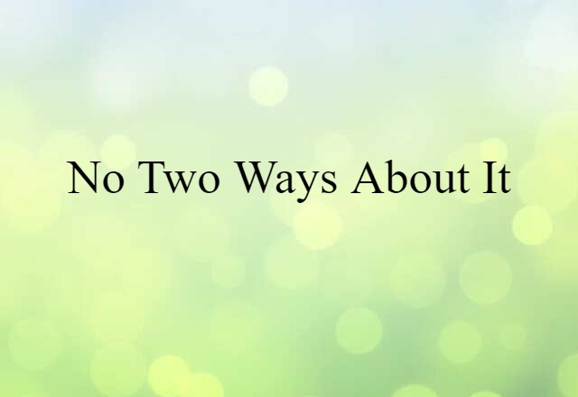 No Two Ways About It (noun) Definition, Meaning & Examples