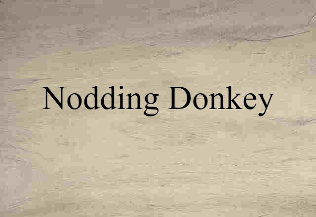 Nodding Donkey (noun) Definition, Meaning & Examples