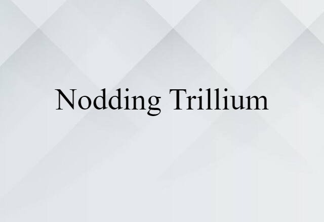 nodding trillium