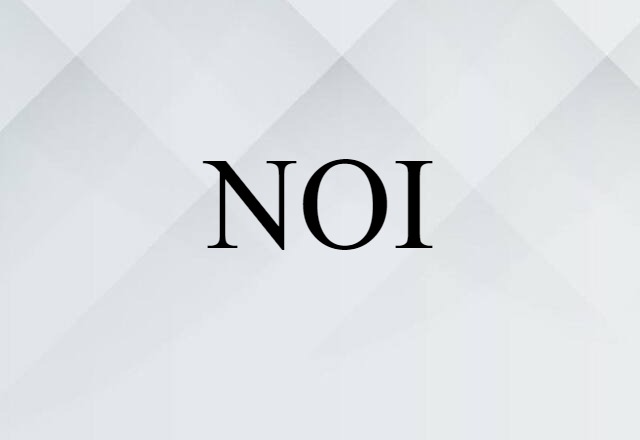 NOI (noun) Definition, Meaning & Examples