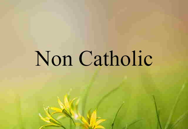 non Catholic