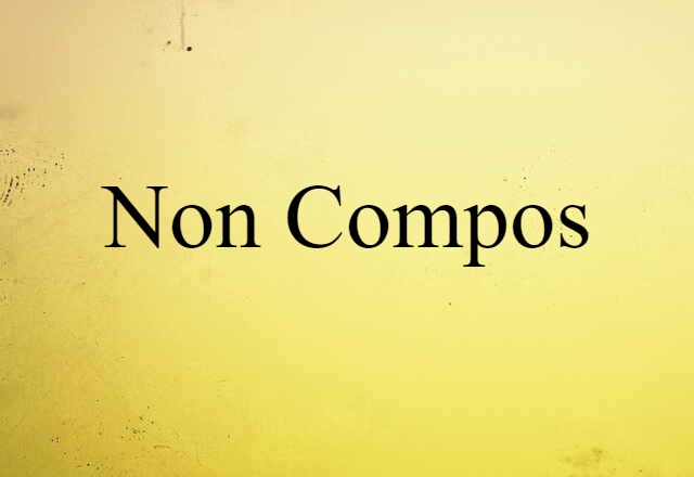 Non Compos (noun) Definition, Meaning & Examples