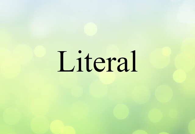 Literal (noun) Definition, Meaning & Examples