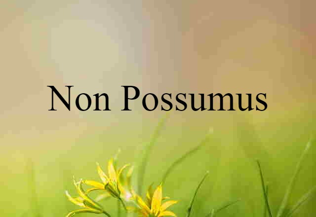 non possumus