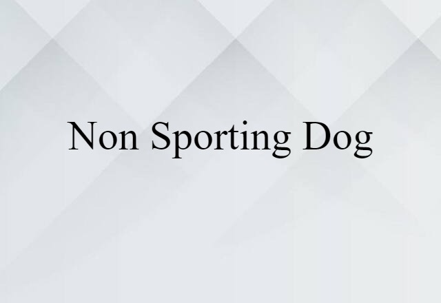 Non-sporting Dog (noun) Definition, Meaning & Examples