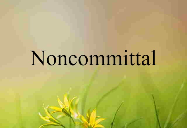 Noncommittal (noun) Definition, Meaning & Examples