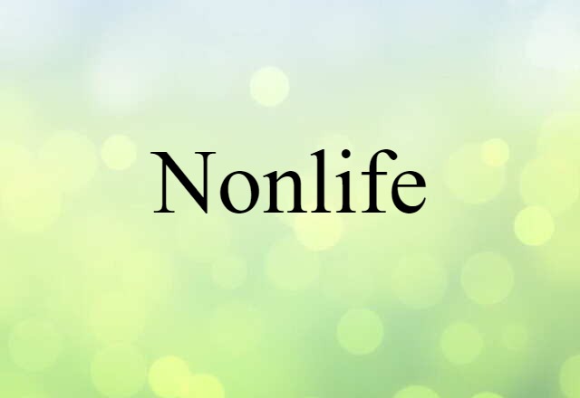 Nonlife (noun) Definition, Meaning & Examples