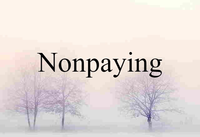 Nonpaying (noun) Definition, Meaning & Examples