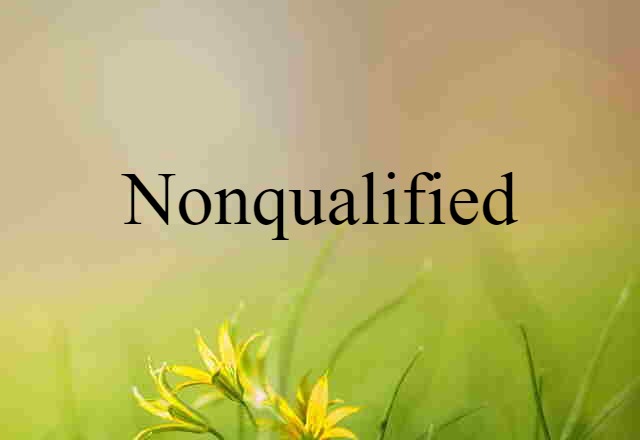 Nonqualified (noun) Definition, Meaning & Examples