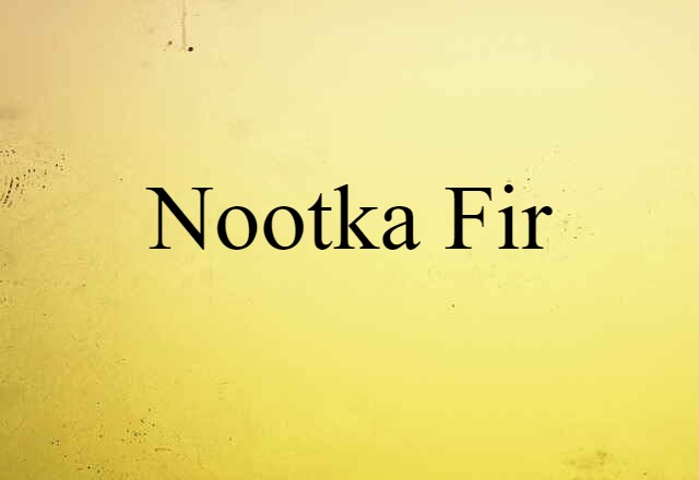 Nootka fir