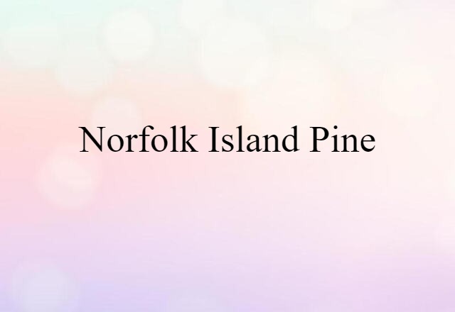 Norfolk Island pine