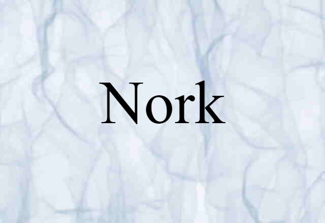 Nork (noun) Definition, Meaning & Examples