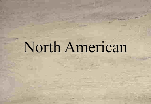 North American (noun) Definition, Meaning & Examples