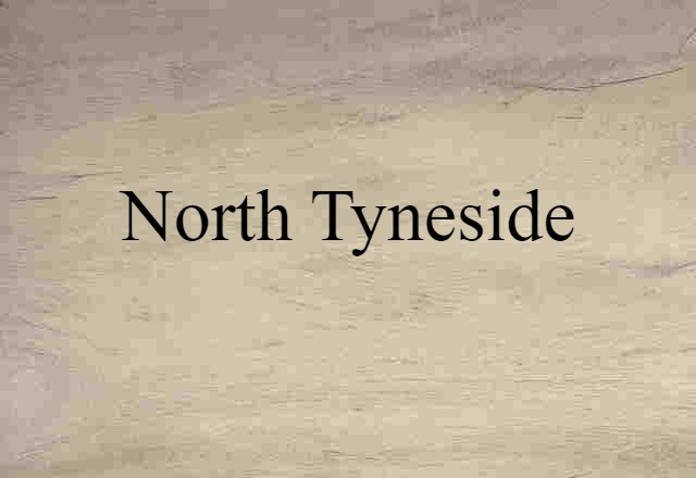 North Tyneside (noun) Definition, Meaning & Examples