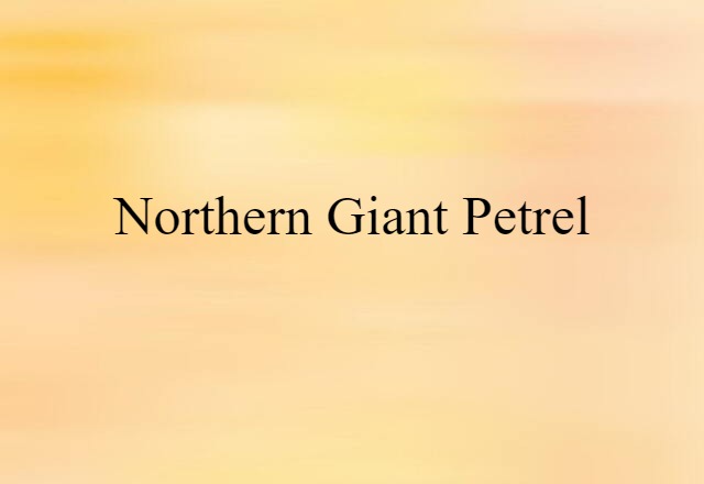 Northern Giant Petrel (noun) Definition, Meaning & Examples