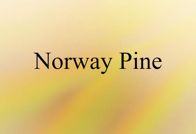 Norway pine