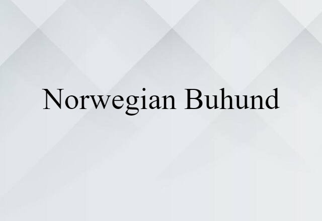 Norwegian buhund