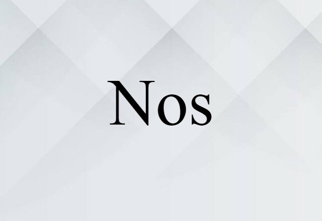 Nos- (noun) Definition, Meaning & Examples