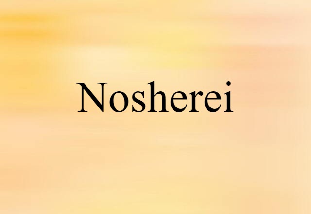 Nosherei (noun) Definition, Meaning & Examples