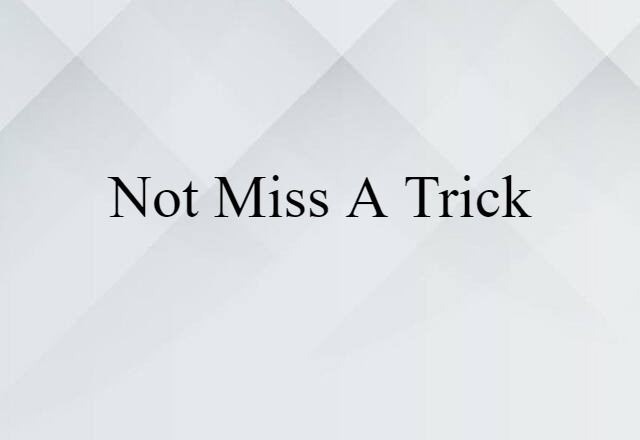 Not Miss A Trick (noun) Definition, Meaning & Examples