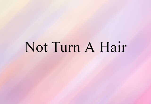 Not Turn A Hair (noun) Definition, Meaning & Examples