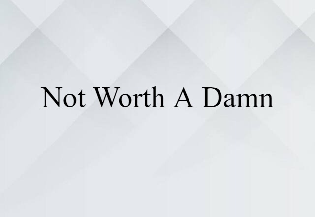 Not Worth A Damn (noun) Definition, Meaning & Examples