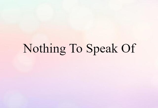 Nothing To Speak Of (noun) Definition, Meaning & Examples