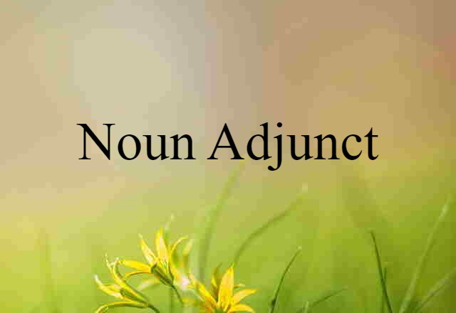 noun adjunct