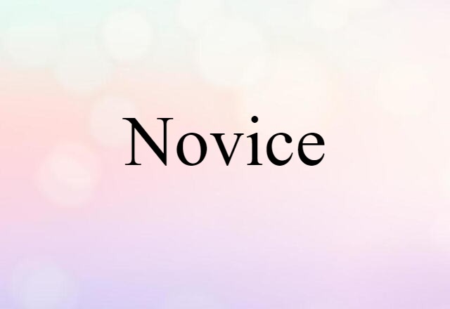 novice