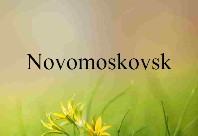 Novomoskovsk (noun) Definition, Meaning & Examples