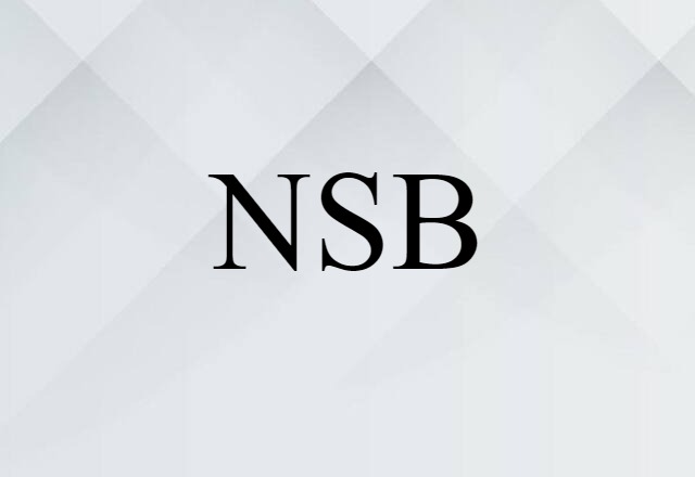 NSB (noun) Definition, Meaning & Examples