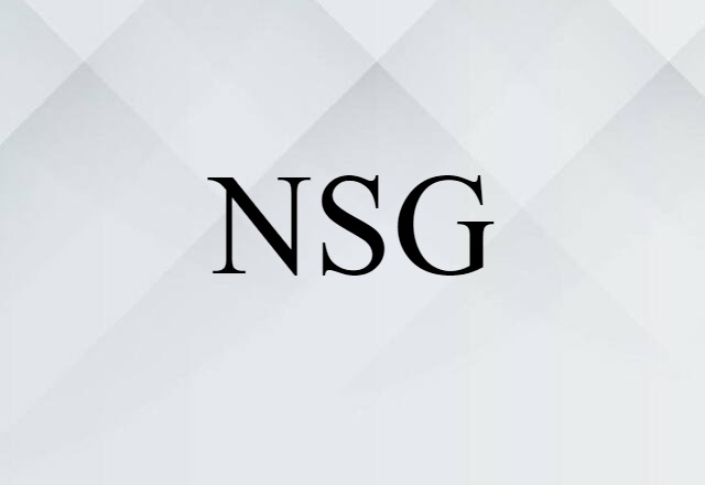 NSG (noun) Definition, Meaning & Examples