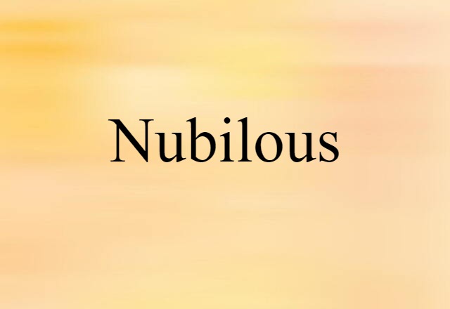 Nubilous (noun) Definition, Meaning & Examples