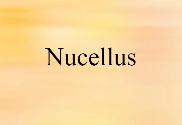 nucellus