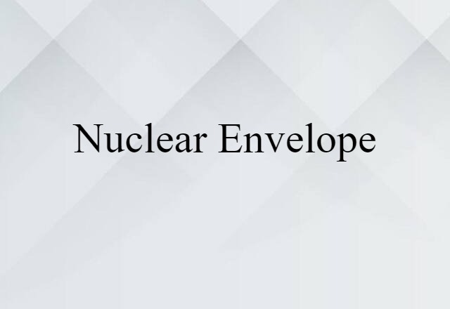 nuclear envelope