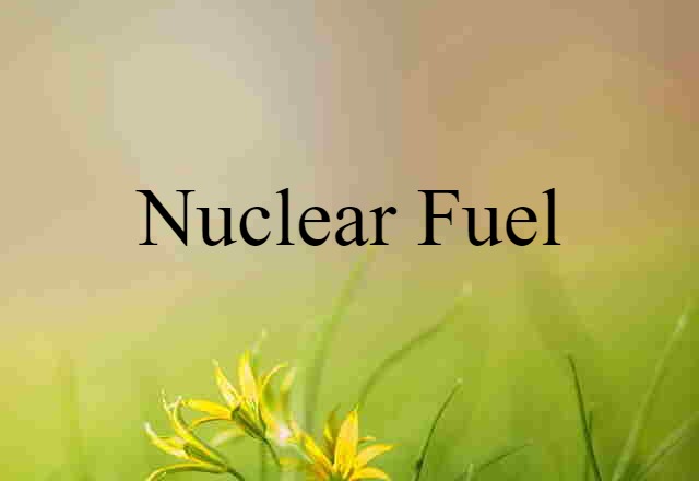 nuclear fuel