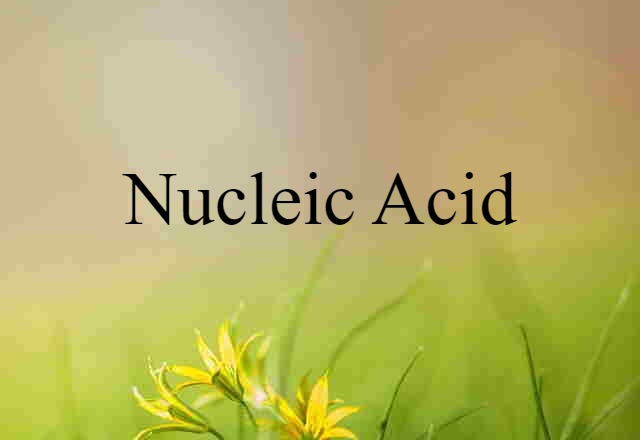 nucleic acid