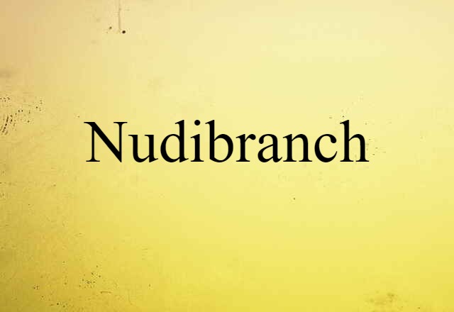 Nudibranch (noun) Definition, Meaning & Examples