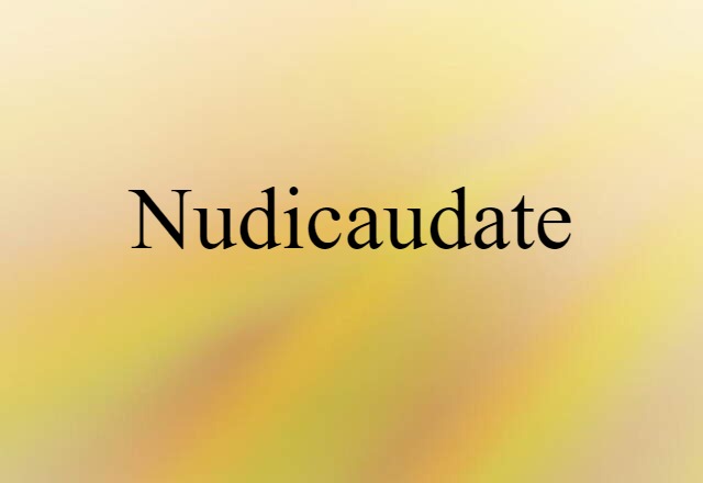 Nudicaudate (noun) Definition, Meaning & Examples