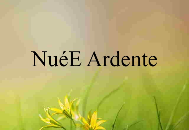 Nuée Ardente (noun) Definition, Meaning & Examples