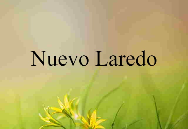 Nuevo Laredo (noun) Definition, Meaning & Examples