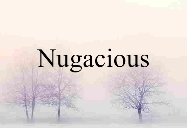 Nugacious (noun) Definition, Meaning & Examples